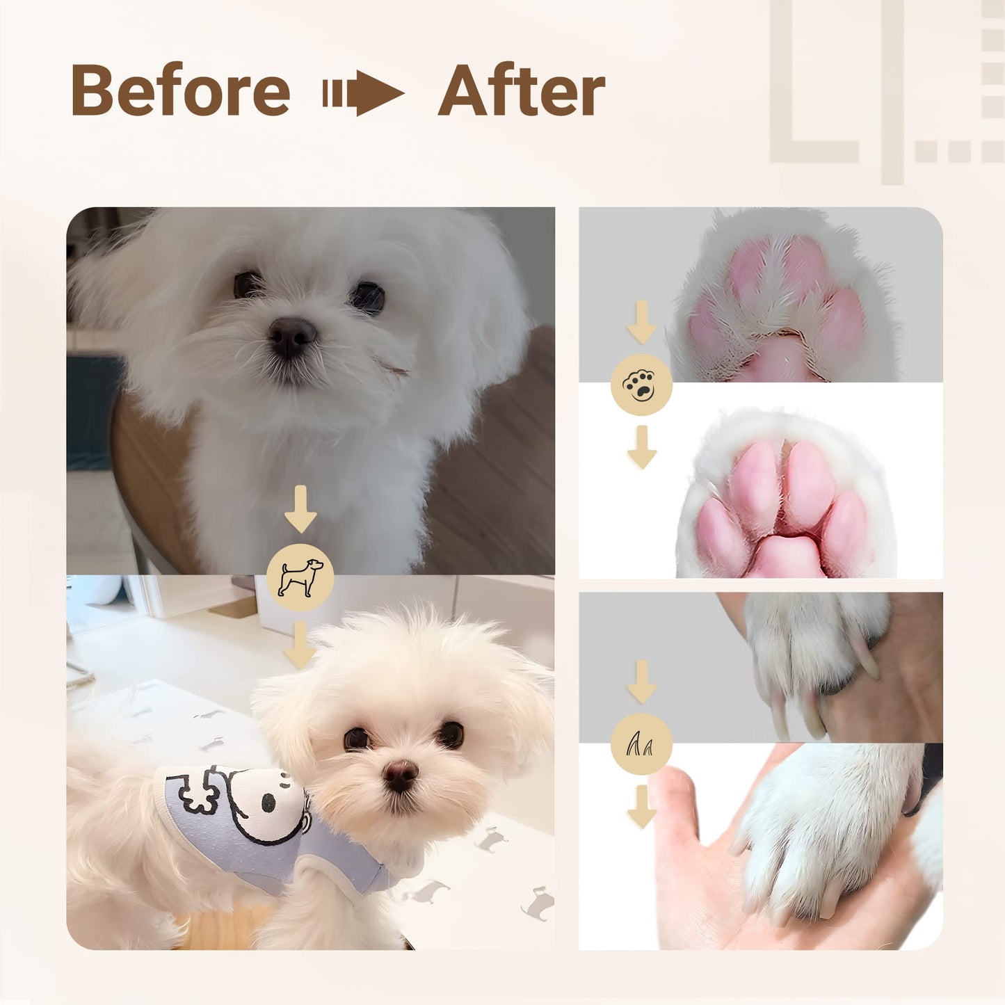 (🔥Last Day Promotion - 49% off)2024-Ultimate Pet Grooming Kit 🐶 4-in-1 Electric Clippers with 4 Interchangeable Blades